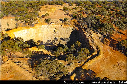 australasian_safari_038_2010.jpg