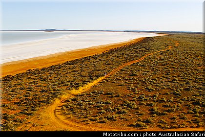 australasian_safari_039_2010.jpg