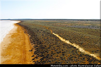 australasian_safari_040_2010.jpg
