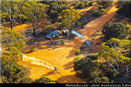 australasian_safari_043_2010.jpg