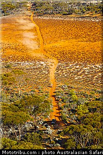 australasian_safari_047_2010.jpg