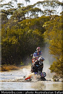 australasian_safari_049_2010.jpg