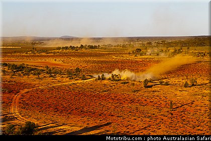 australasian_safari_051_2010.jpg