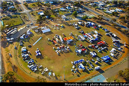 australasian_safari_056_2010.jpg