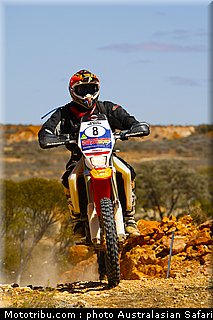 australasian_safari_beavis_3_2010.jpg