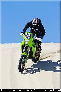 australasian_safari_brown_2010.jpg