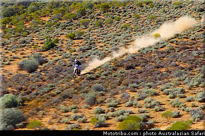 australasian_safari_costello_5_2010.jpg