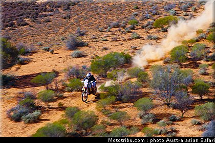 australasian_safari_costello_6_2010.jpg