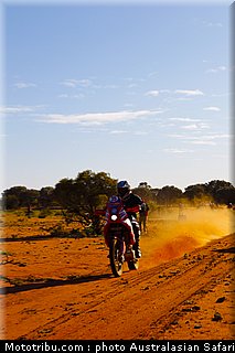 australasian_safari_diener_1_2010.jpg