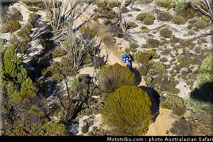 australasian_safari_faggotter_02_2010.jpg
