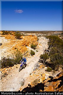 australasian_safari_faggotter_06_2010.jpg