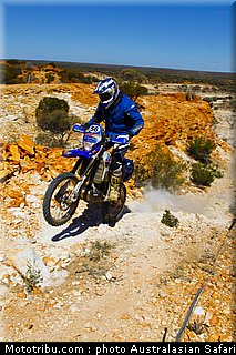 australasian_safari_faggotter_07_2010.jpg