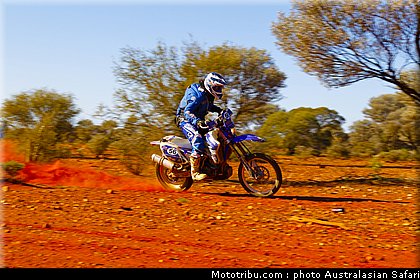 australasian_safari_faggotter_08_2010.jpg