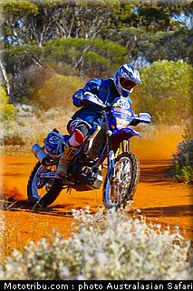 australasian_safari_faggotter_09_2010.jpg