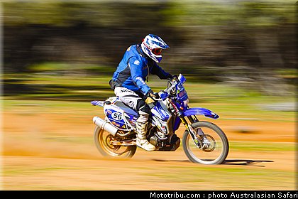australasian_safari_faggotter_13_2010.jpg