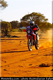 australasian_safari_fish_02_2010.jpg