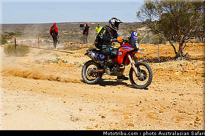 australasian_safari_fish_03_2010.jpg