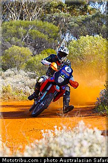 australasian_safari_fish_07_2010.jpg