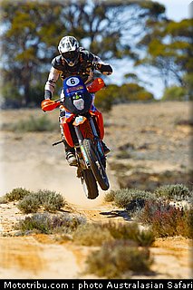 australasian_safari_fish_10_2010.jpg