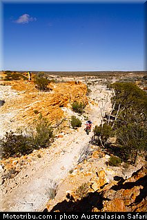 australasian_safari_graham_06_2010.jpg