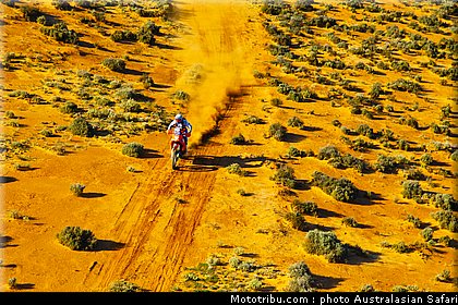 australasian_safari_graham_18_2010.jpg