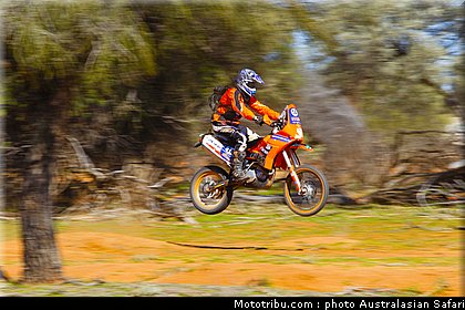 australasian_safari_lang_2010.jpg
