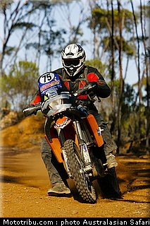 australasian_safari_lawn_2010.jpg