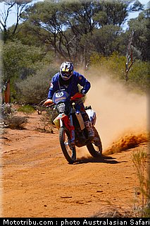 australasian_safari_matsumoto_2010.jpg