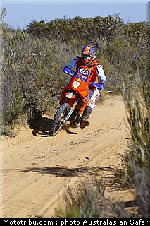 australasian_safari_mayfield_1_2010.jpg