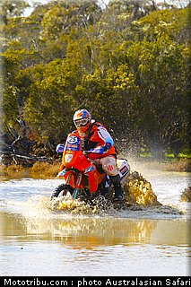 australasian_safari_mayfield_2_2010.jpg