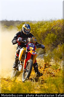 australasian_safari_nelligan_3_2010.jpg