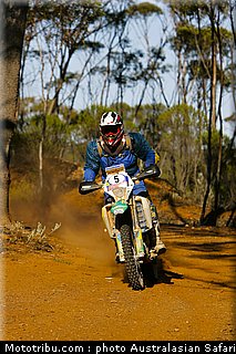 australasian_safari_schwarz_1_2010.jpg
