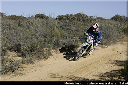 australasian_safari_schwarz_3_2010.jpg