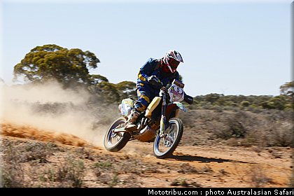 australasian_safari_schwarz_4_2010.jpg