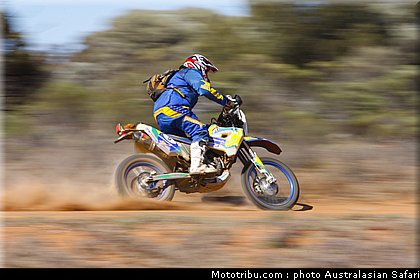 australasian_safari_schwarz_5_2010.jpg