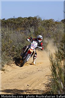australasian_safari_scott_4_2010.jpg