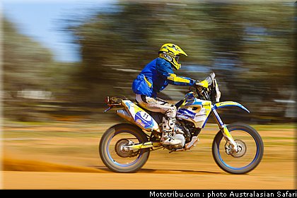 australasian_safari_seel_2_2010.jpg