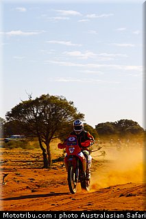 australasian_safari_smith_t_08_2010.jpg