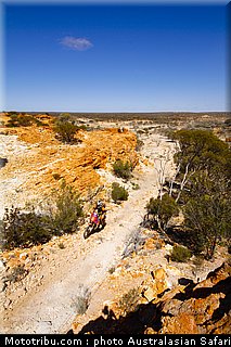 australasian_safari_smith_t_10_2010.jpg