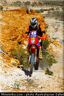 australasian_safari_smith_t_11_2010.jpg