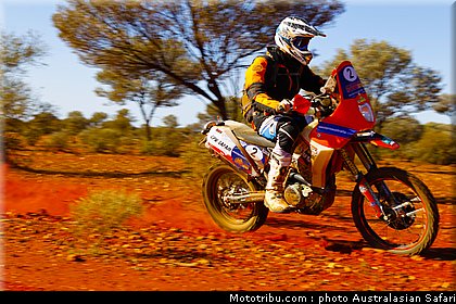 australasian_safari_smith_t_12_2010.jpg