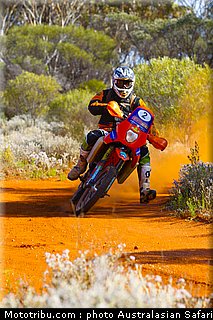 australasian_safari_smith_t_13_2010.jpg