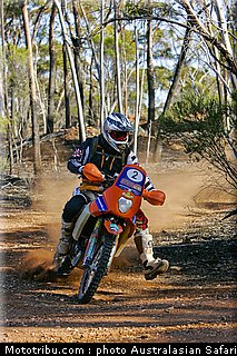 australasian_safari_smith_t_14_2010.jpg