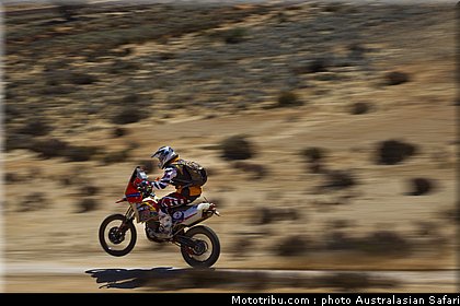 australasian_safari_smith_t_16_2010.jpg