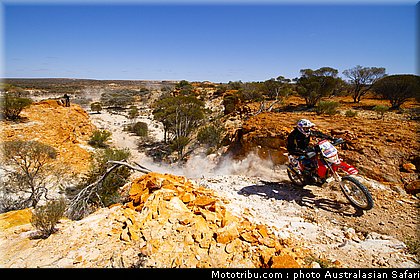 australasian_safari_strange_2_2010.jpg