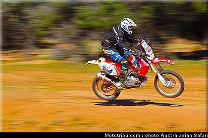 australasian_safari_strange_3_2010.jpg