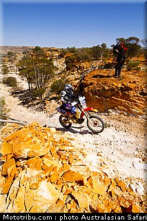 australasian_safari_vroom_1_2010.jpg
