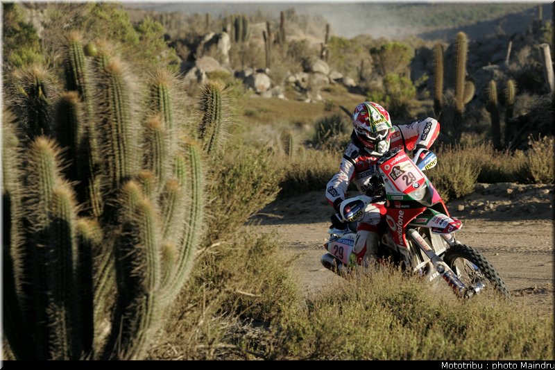 dakar_2010_bianchi_prata