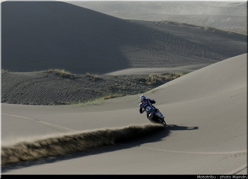 dakar_2010_despres_09