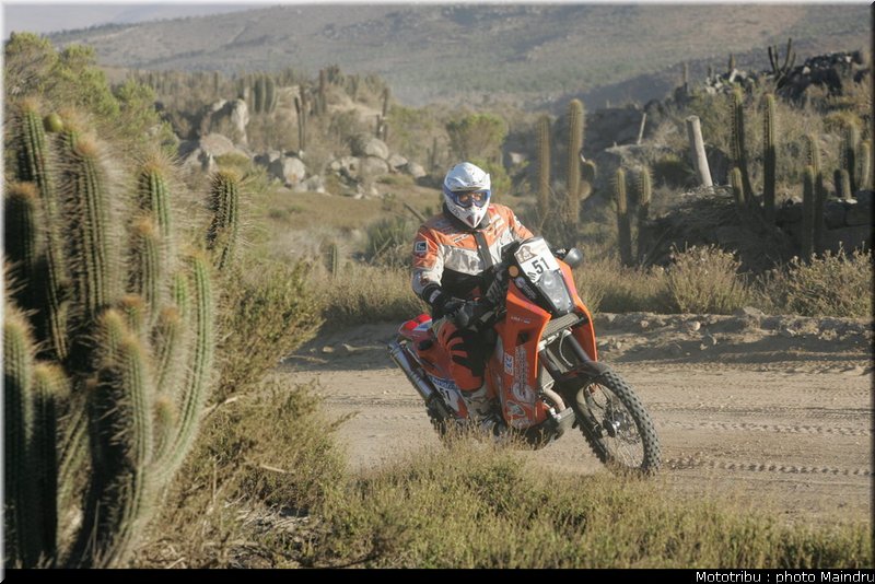 dakar_2010_saghmeister_2